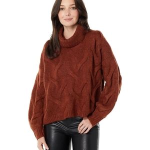 Somervell Modern Cable Turtleneck Sweater
MADEWELL